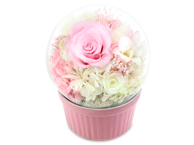 Preserved Forever Flower - Musical Preserved Flower Music Box M28 - L36515961 Photo